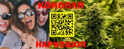 не бодяженный Будённовск