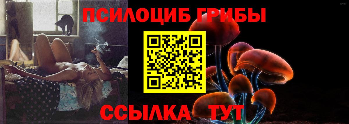 Псилоцибиновые грибы мицелий  Вход с VPN  Карабулак 